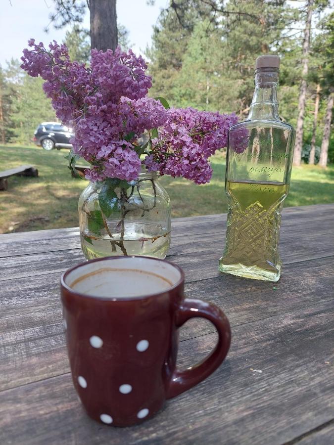 Rustic Home Tara Kaludjerske Bare Zewnętrze zdjęcie