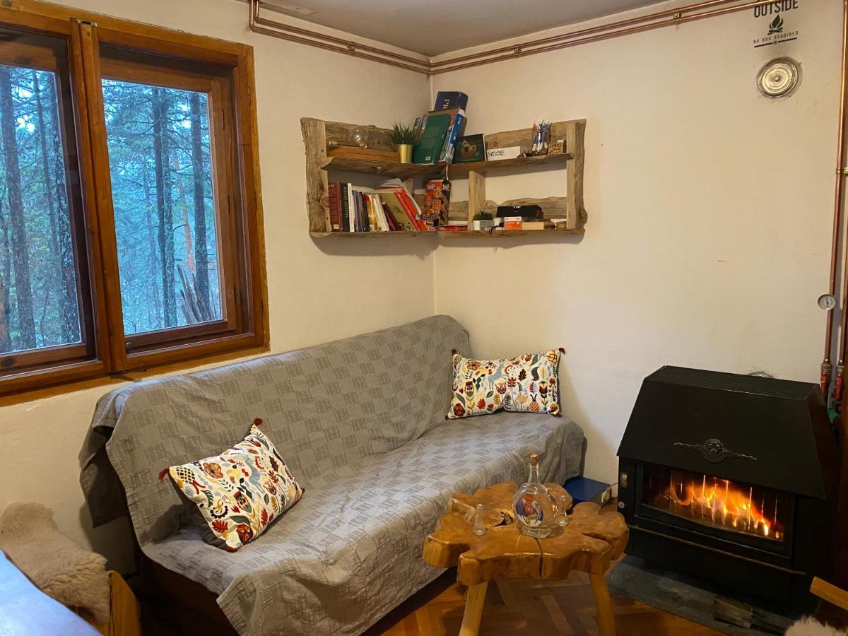 Rustic Home Tara Kaludjerske Bare Zewnętrze zdjęcie