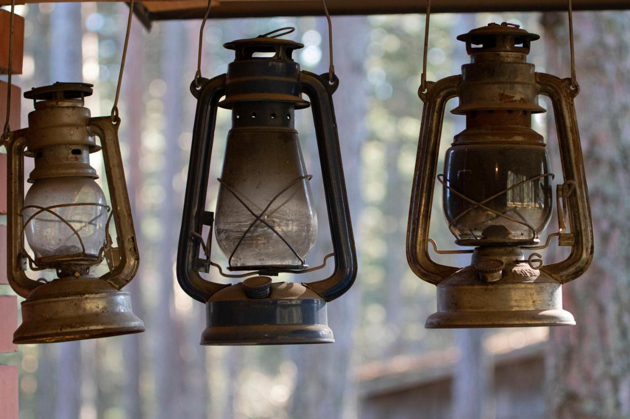 Rustic Home Tara Kaludjerske Bare Zewnętrze zdjęcie