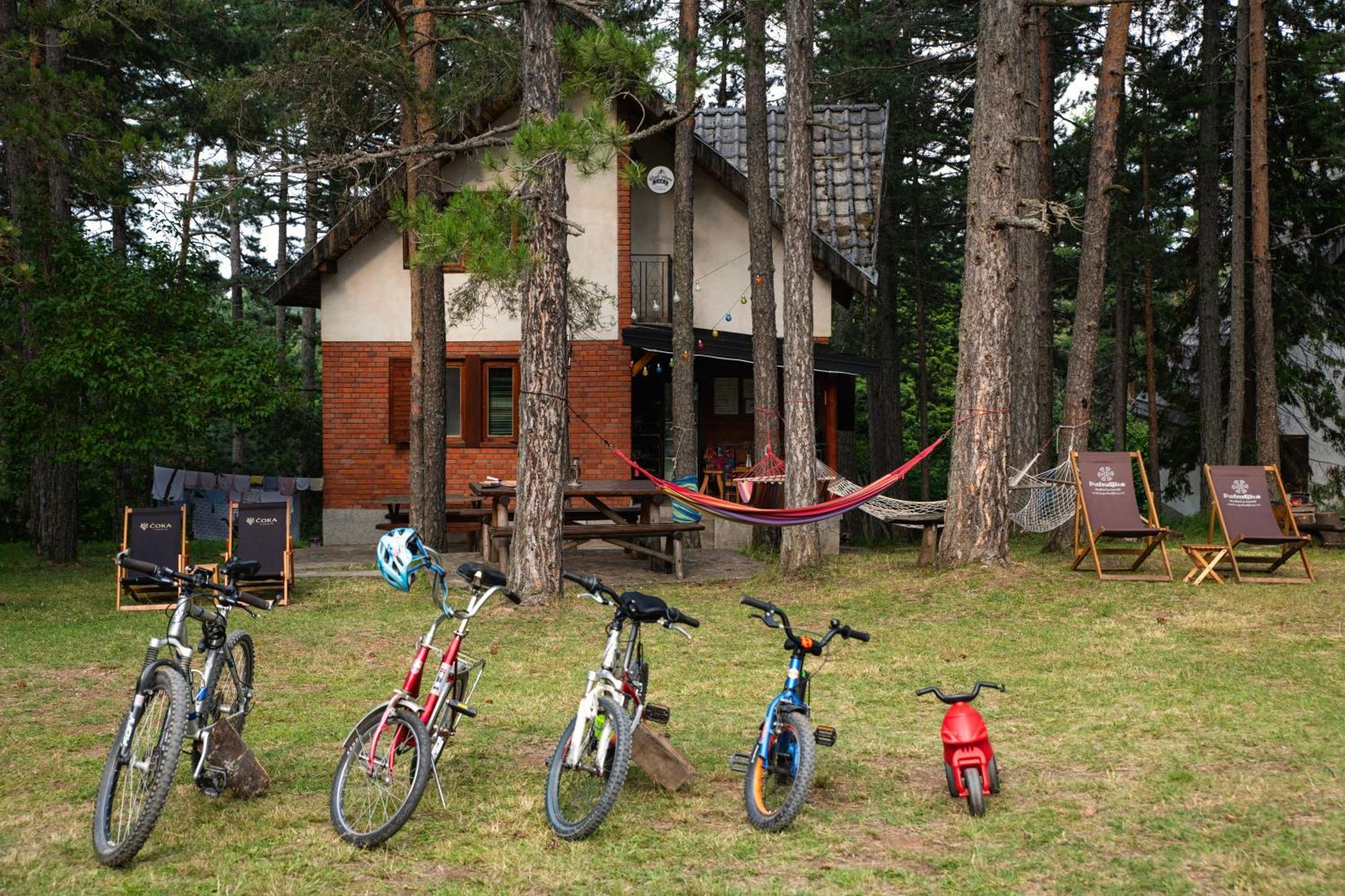 Rustic Home Tara Kaludjerske Bare Zewnętrze zdjęcie