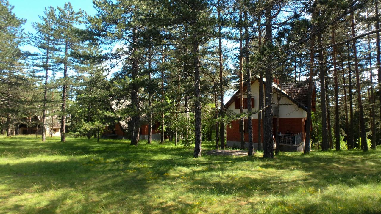 Rustic Home Tara Kaludjerske Bare Zewnętrze zdjęcie